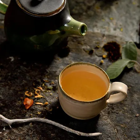 酒店 Rifugio Lou Lindal *