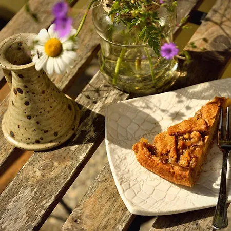 酒店 Rifugio Lou Lindal Canosio