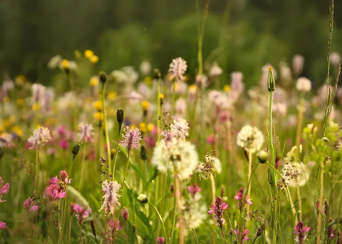 호텔 Rifugio Lou Lindal